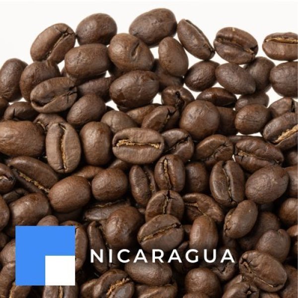 画像1: デカフェ ニカラグア ラ ハモニア マウンテンウォータープロセス 中深煎り (1)