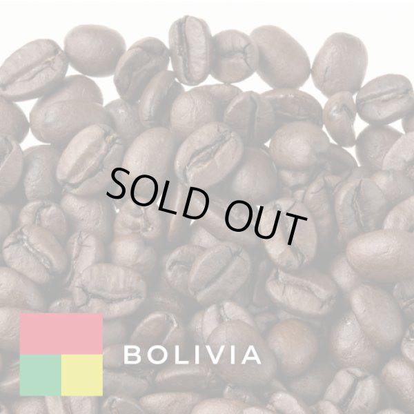 画像1: ボリビア モンテ シエロ レッドカツアイ ウォッシュド 深煎り 200g (1)