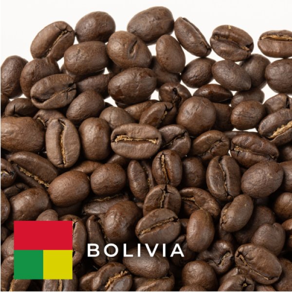 画像1: ボリビア センダ サルバヘ カツアイ ウォッシュド 中煎り 200g (1)