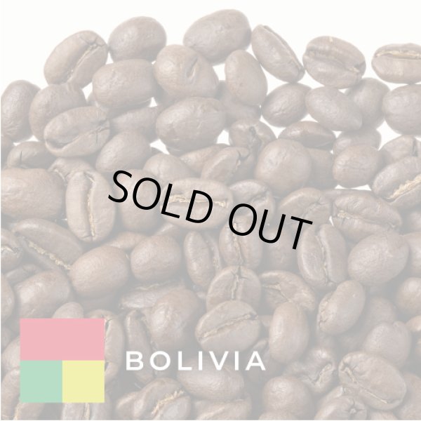 画像1: ボリビア センダ サルバヘ カツアイ ウォッシュド 中煎り 200g (1)